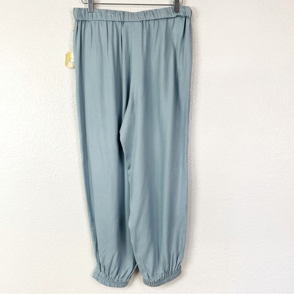 Raegrass Slate Luxe Jogger Pants Size M - Picture 4 of 13